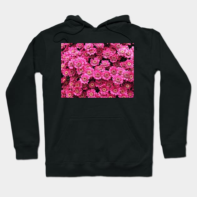 Pink Chrysanthemums Hoodie by Ludwig Wagner